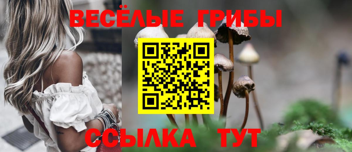 Псилоцибиновые грибы MAGIC MUSHROOMS  Псилоцибиновые грибы Psilocybine cubensis  купить наркоту  Феодосия  Вход с VPN 