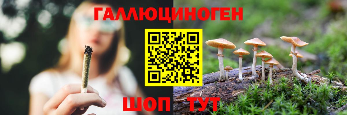 Галлюциногенные грибы Psilocybe Феодосия